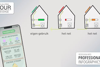 design a professional premium infographic