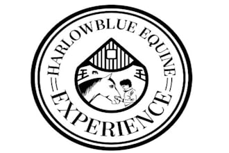 design horse race logo