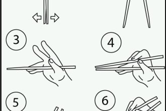 draw vector line art line drawing, instruction manual