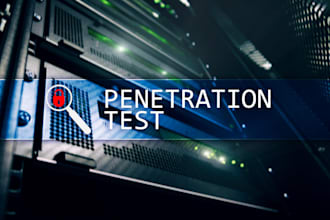 perform penetration testing for web applications, apis etc