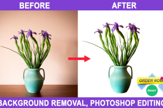 photoshop editing cut out images clipping path remove bg