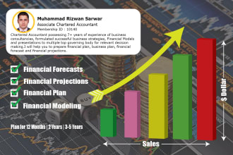 develop customized financial models, forecasts and plan