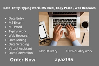 do data entry, copy paste and web research for you