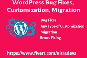 provide wordpress error fixing, customization, and update service