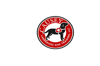 design service dog trainer company logo