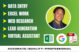 be your virtual assistant for data entry, excel