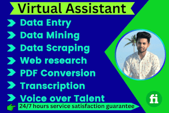 virtual assistant, data entry, mining, scraping, transcriber