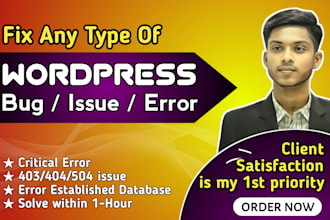 fix wordpress issues, fix wordpress errors or bug