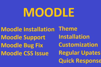 install, upgrade, develop theme or plugin for moodle lms