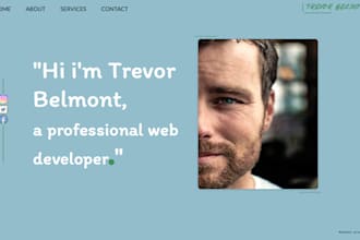 code professional HTML CSS and javascript websites