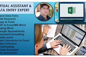 do data entry and data analysis, graphs development, database management