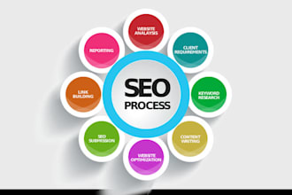 provide a professional seo audit report and a competitive website analysis