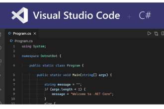 code in c sharp language