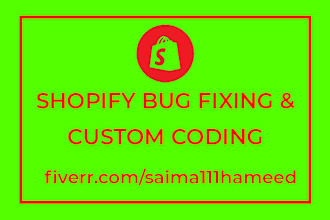 fix shopify bugs, theme customization, awesome store design