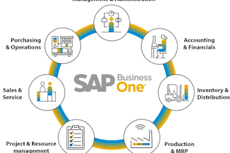 give sap business one consultation, sapb1 v10 available with life time license
