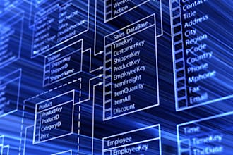 design mysql database, oracle database, and perform queries