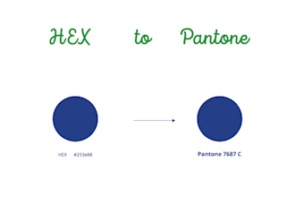 convert hex to pantone color code converter