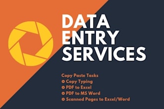 do any data entry task within 24 hours