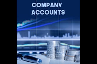 prepare and submit UK company accounts and company tax return ct600