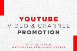 do viral youtube channel promotion and marketing to increase targeted audience
