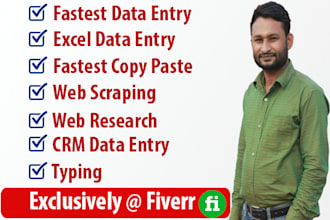 do fastest any kind of excel data entry, copy paste,CRM data