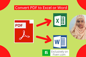 convert PDF to excel with manually typing and copy paste