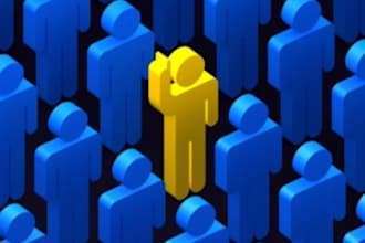 give you tips or review your business for success