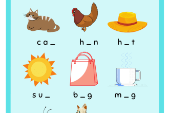 create different activity or  worksheets for kids
