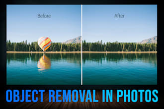 remove any object in your photos