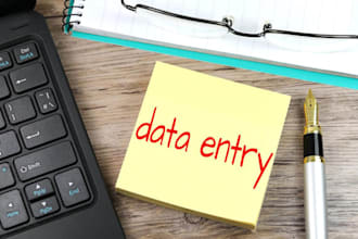 do data entry, excel tasks and internet searches