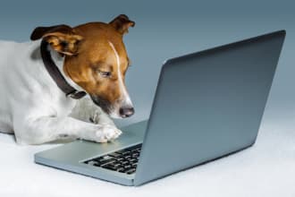write SEO blogs and articles about all household pets
