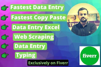 do fastest data,excel entry and web scraping