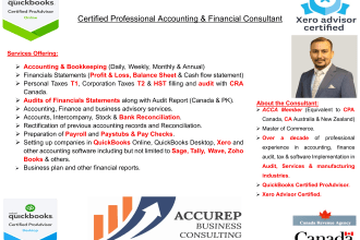 be your dedicated fractional cfo and professional   bookkeeper