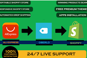 design 7 figure shopify drop shipping store