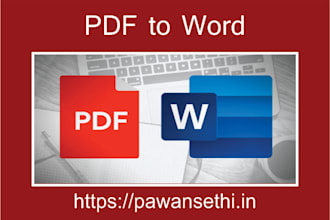 do professional PDF to word conversion services for clients