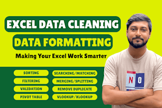 do excel data cleaning and formatting, excel data entry