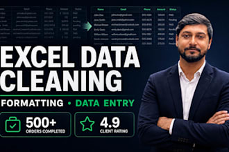 do excel data cleaning and formatting, excel data entry