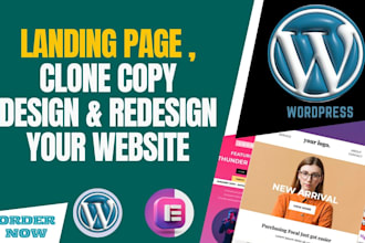 clone copy design redesign landing page any wordpress website elementor pro