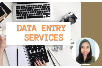 do data entry in excel,typing,web research and copy paste