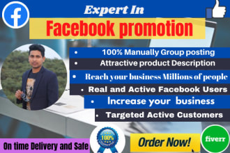 do organic facebook promotion any business in USA audience
