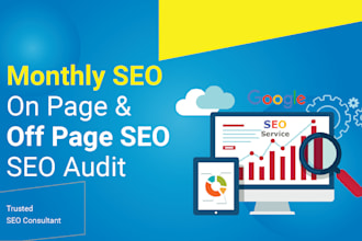 provide complete monthly SEO services for your shopify store