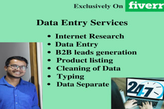do accurate and fast data entry, internet research