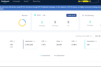 advertise tiktok ads worldwide for grow your business