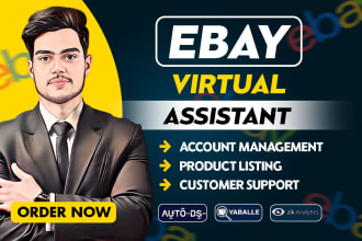 expert ebay virtual assistant, ebay ads manager, ebay SEO listing optimization