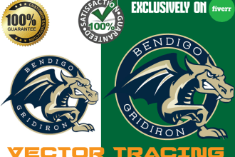do vector tracing, logo cleanup, recreate professionally