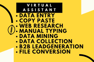 do data entry file conversion, web research, and data mining