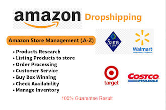 your expert VA for amazon dropshipping store management