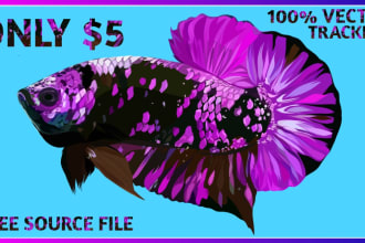 make your betta fish a vector in 12 hours