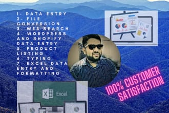 do data entry, copy paste, excel data entry, web research