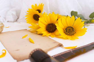 write creative customized poems for you